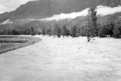 Alluvione dell'8 agosto 1951.
Il Ticino visto dal ponte della strada Giubiasco/Sementina.
Sponda verso Sementina. Ore 14.00. (#577)